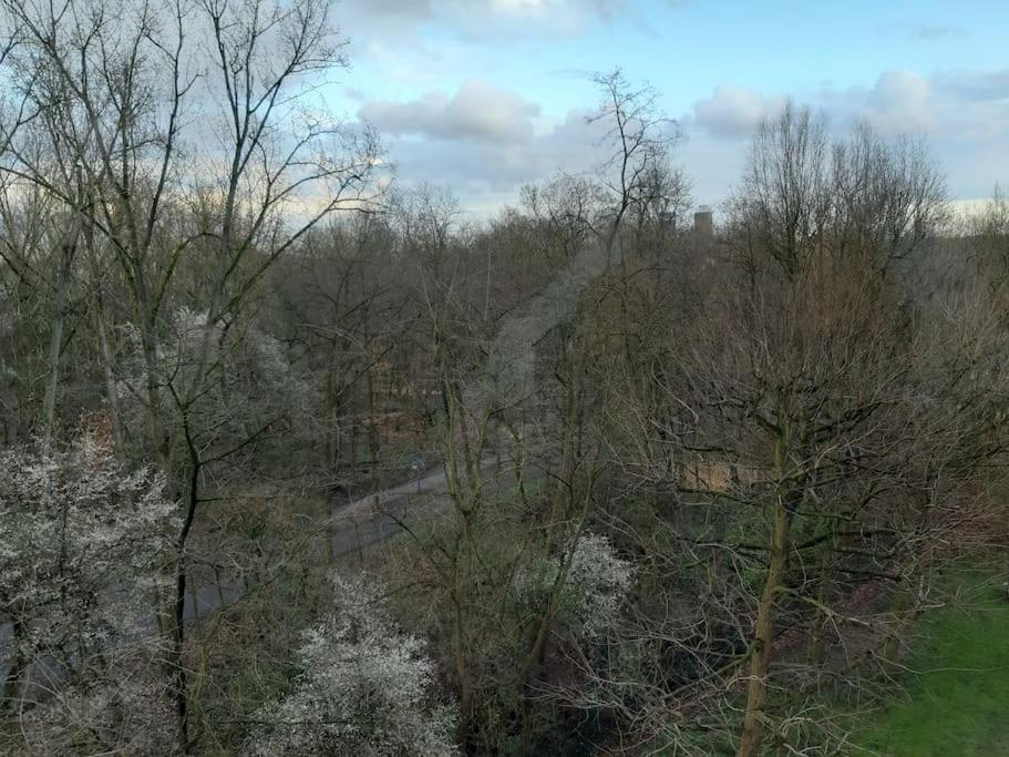 Zentral Und Doch Natur Köln Dış mekan fotoğraf