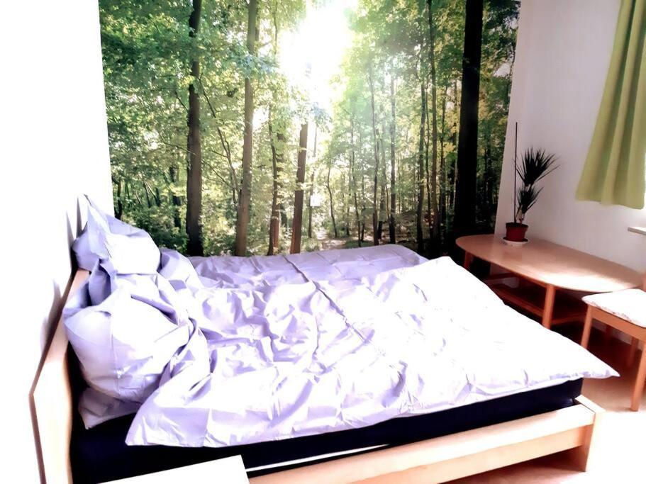 Zentral Und Doch Natur Köln Dış mekan fotoğraf