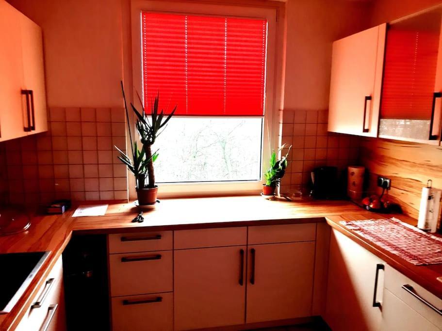Zentral Und Doch Natur Köln Dış mekan fotoğraf